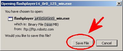 Robotz-flash-guide01.jpg