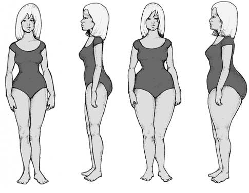 Bodytype02.jpg