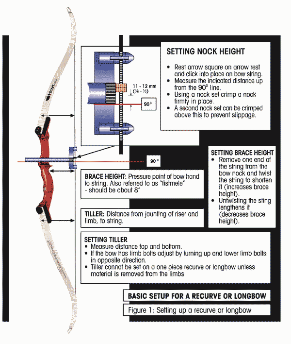 Longbow Curve at William Reser blog