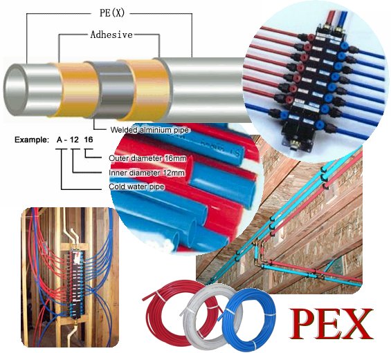 PEX16m15c.jpg