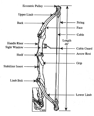 CompoundBow01.gif