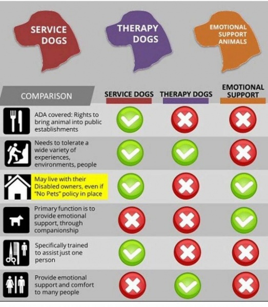 File:Landlords-and-service-dogs.jpg