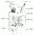 Thumbnail for version as of 10:50, 27 September 2010